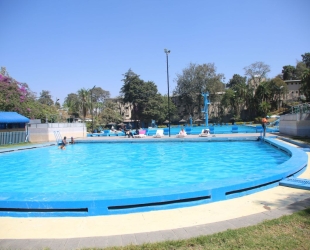  Standard  Room  King size bed ( New Wing side)