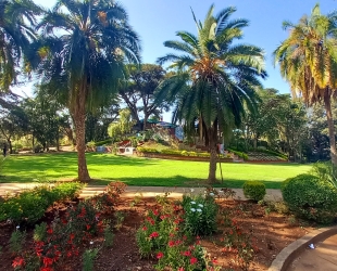 Double Standard  Room (First Floor)